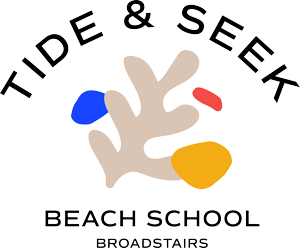 Tide and seek logo